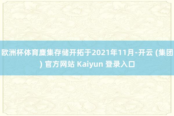 欧洲杯体育麇集存储开拓于2021年11月-开云 (集团) 官方网站 Kaiyun 登录入口