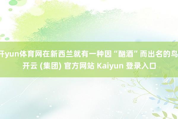 开yun体育网在新西兰就有一种因“酗酒”而出名的鸟-开云 (
