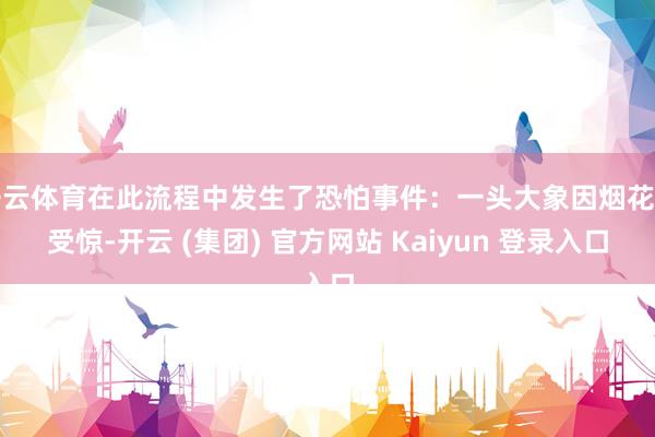 开云体育在此流程中发生了恐怕事件：一头大象因烟花声受惊-开云 (集团) 官方网站 Kaiyun 登录入口
