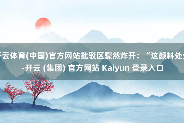 开云体育(中国)官方网站批驳区骤然炸开：“这颜料处分-开云 
