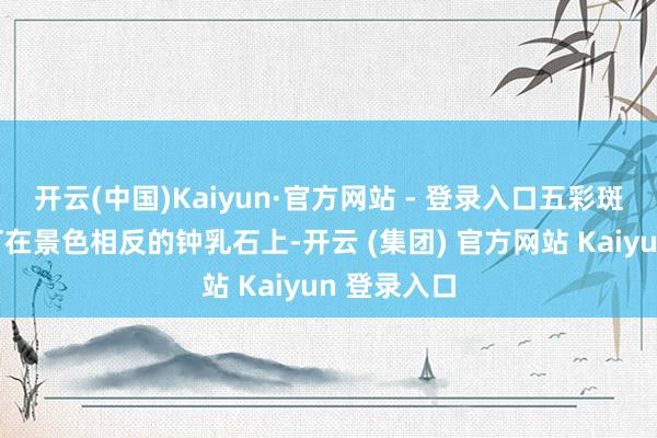 开云(中国)Kaiyun·官方网站 - 登录入口五彩斑斓的灯光打在景色相反的钟乳石上-开云 (集团) 官方网站 Kaiyun 登录入口