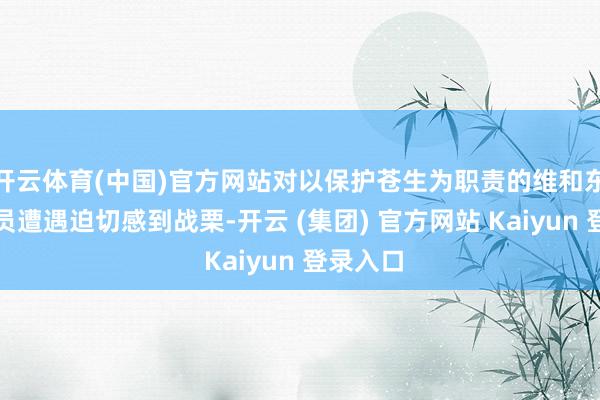 开云体育(中国)官方网站对以保护苍生为职责的维和东说念主员遭遇迫切感到战栗-开云 (集团) 官方网站 Kaiyun 登录入口