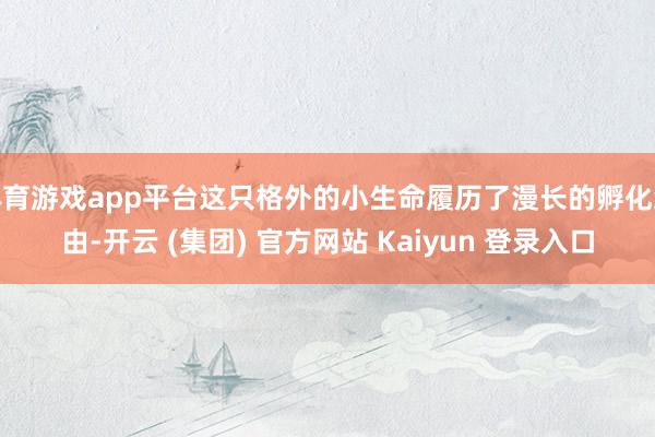 体育游戏app平台这只格外的小生命履历了漫长的孵化经由-开云
