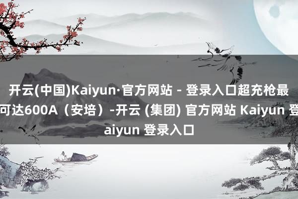 开云(中国)Kaiyun·官方网站 - 登录入口超充枪最大电