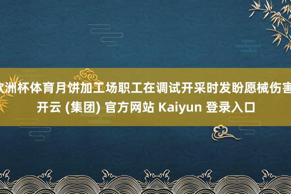 欧洲杯体育月饼加工场职工在调试开采时发盼愿械伤害-开云 (集