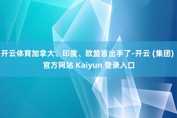 开云体育加拿大、印度、欧盟皆出手了-开云 (集团) 官方网站