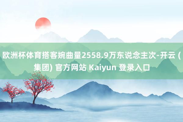 欧洲杯体育搭客婉曲量2558.9万东说念主次-开云 (集团) 官方网站 Kaiyun 登录入口