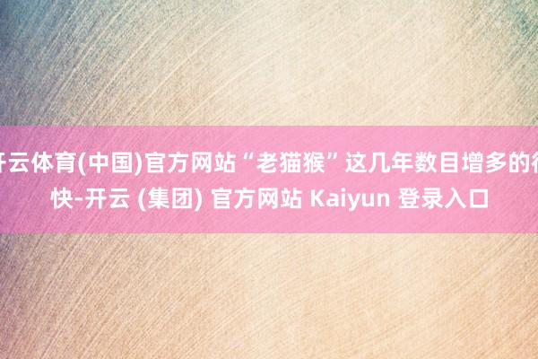 开云体育(中国)官方网站“老猫猴”这几年数目增多的很快-开云 (集团) 官方网站 Kaiyun 登录入口