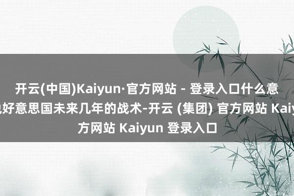 开云(中国)Kaiyun·官方网站 - 登录入口什么意料呢？等于说好意思国未来几年的战术-开云 (集团) 官方网站 Kaiyun 登录入口
