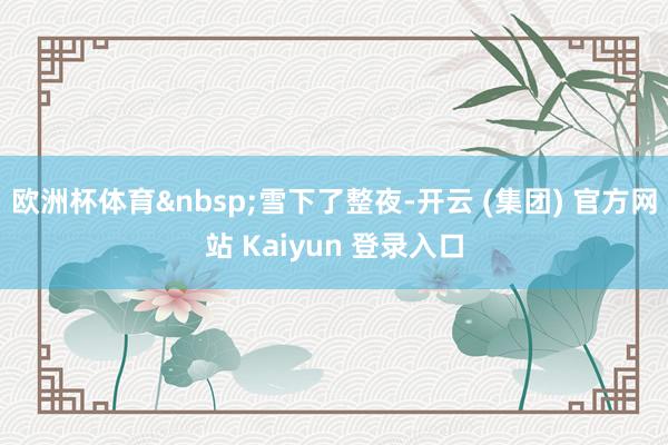 欧洲杯体育&nbsp;雪下了整夜-开云 (集团) 官方网站 Kaiyun 登录入口