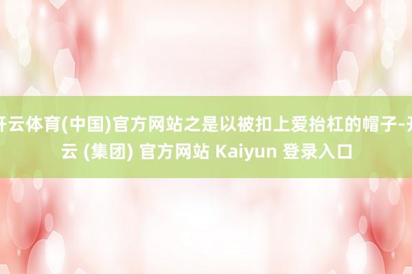 开云体育(中国)官方网站之是以被扣上爱抬杠的帽子-开云 (集团) 官方网站 Kaiyun 登录入口