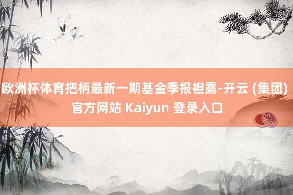 欧洲杯体育把柄最新一期基金季报袒露-开云 (集团) 官方网站 Kaiyun 登录入口
