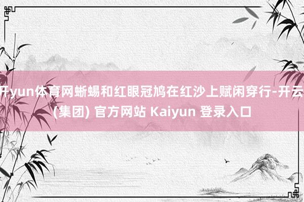 开yun体育网蜥蜴和红眼冠鸠在红沙上赋闲穿行-开云 (集团) 官方网站 Kaiyun 登录入口