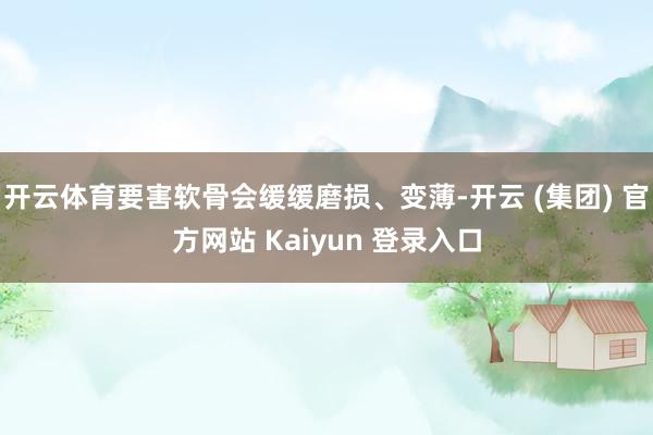 开云体育要害软骨会缓缓磨损、变薄-开云 (集团) 官方网站 Kaiyun 登录入口