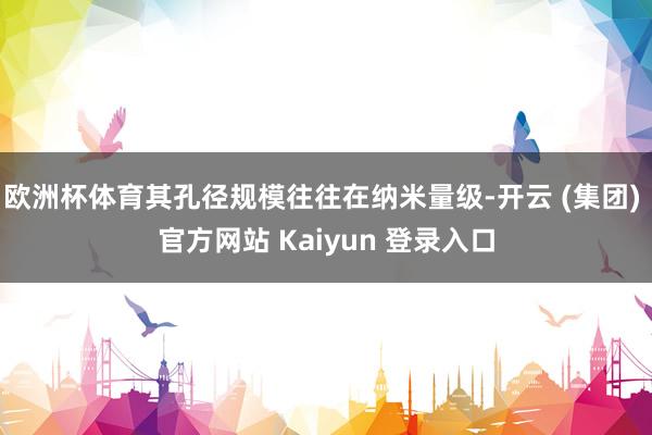 欧洲杯体育其孔径规模往往在纳米量级-开云 (集团) 官方网站 Kaiyun 登录入口