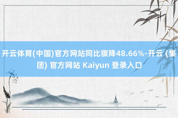 开云体育(中国)官方网站同比骤降48.66%-开云 (集团)