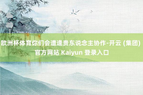 欧洲杯体育你们会遭逢贵东说念主协作-开云 (集团) 官方网站