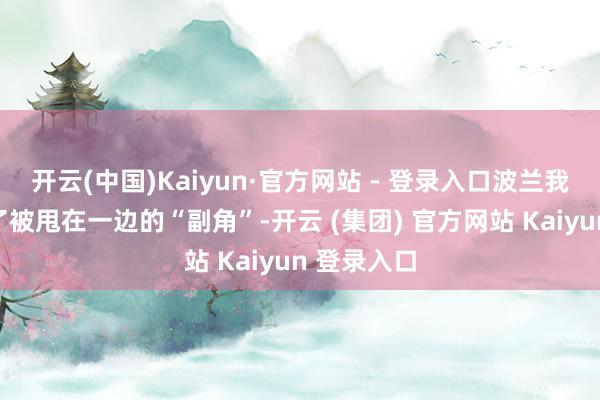 开云(中国)Kaiyun·官方网站 - 登录入口波兰我方反倒
