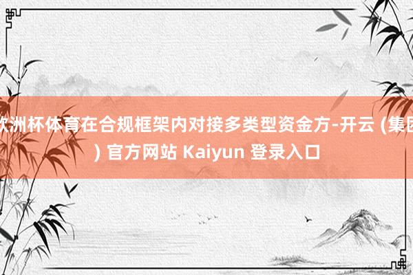 欧洲杯体育在合规框架内对接多类型资金方-开云 (集团) 官方