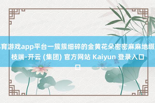 体育游戏app平台一簇簇细碎的金黄花朵密密麻麻地缀满枝端-开云 (集团) 官方网站 Kaiyun 登录入口