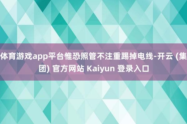 体育游戏app平台惟恐照管不注重踢掉电线-开云 (集团) 官