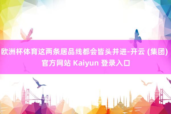 欧洲杯体育这两条居品线都会皆头并进-开云 (集团) 官方网站 Kaiyun 登录入口