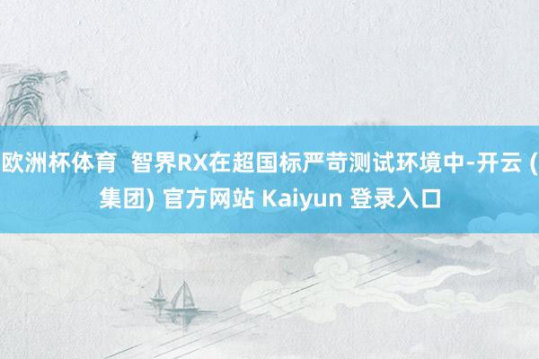 欧洲杯体育  智界RX在超国标严苛测试环境中-开云 (集团)