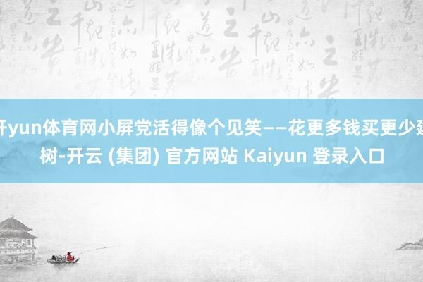 开yun体育网小屏党活得像个见笑——花更多钱买更少建树-开云
