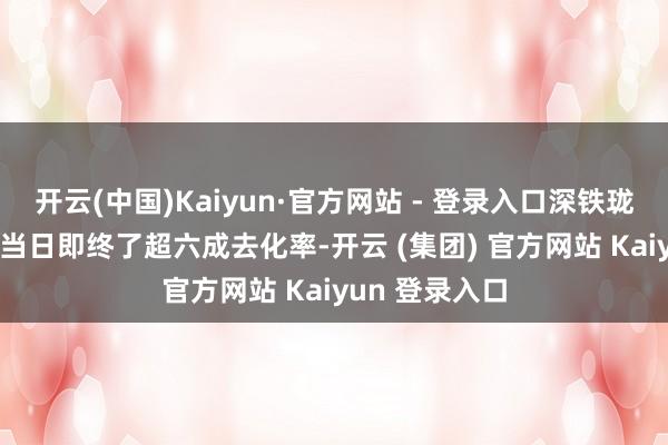 开云(中国)Kaiyun·官方网站 - 登录入口深铁珑境II